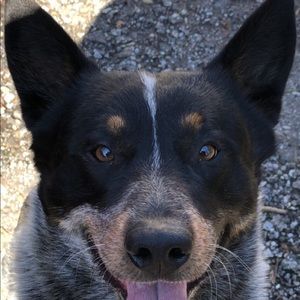 Meet your Posher, Aly